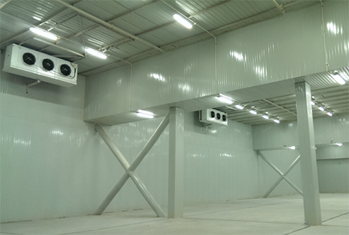 速凍冷庫設計注意事項及其具備功能有哪些？