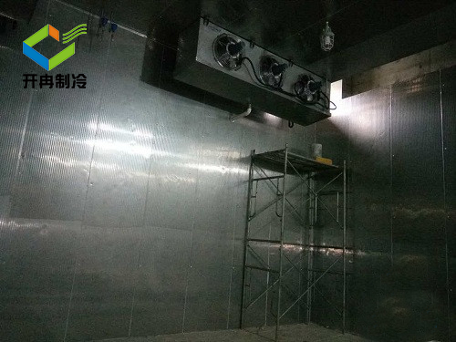 北京冷庫安裝電解液防爆冷庫報價 北京冷庫安裝電解液防爆冷庫報價