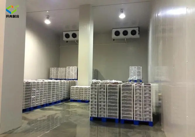 內(nèi)蒙建造一個(gè)牛奶冷藏庫報(bào)價(jià)多少錢 內(nèi)蒙建造一個(gè)牛奶冷藏庫報(bào)價(jià)多少錢