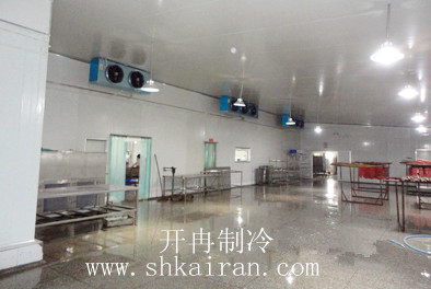 冷庫(kù)分類(lèi) 大中小型海鮮冷庫(kù)設(shè)計(jì)建造