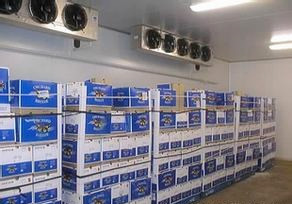 果蔬,黃桃氣調(diào)保鮮冷庫