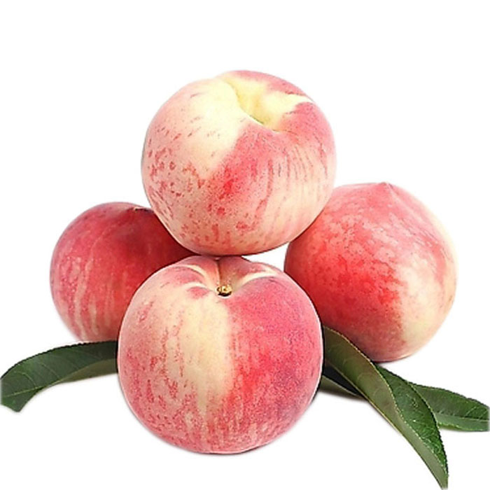 桃子冷庫保鮮方法,水果氣調庫安裝設計