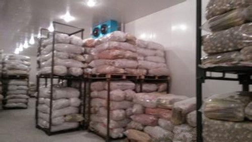 建一個(gè)500噸蓮藕冷庫多少錢 ，蓮藕冷庫造價(jià)