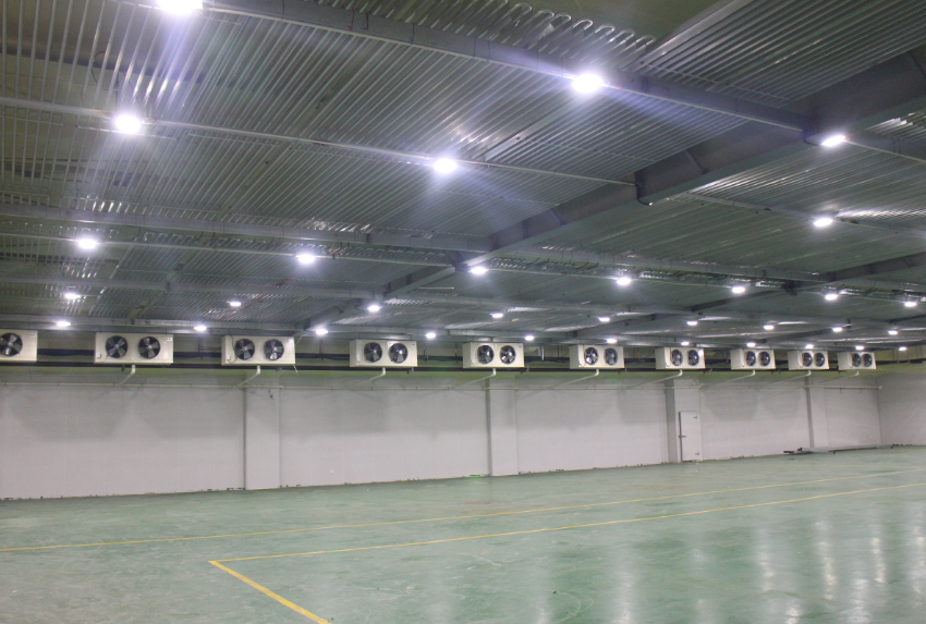 一個300噸香梨冷藏庫預算、香梨冷藏庫造價多少