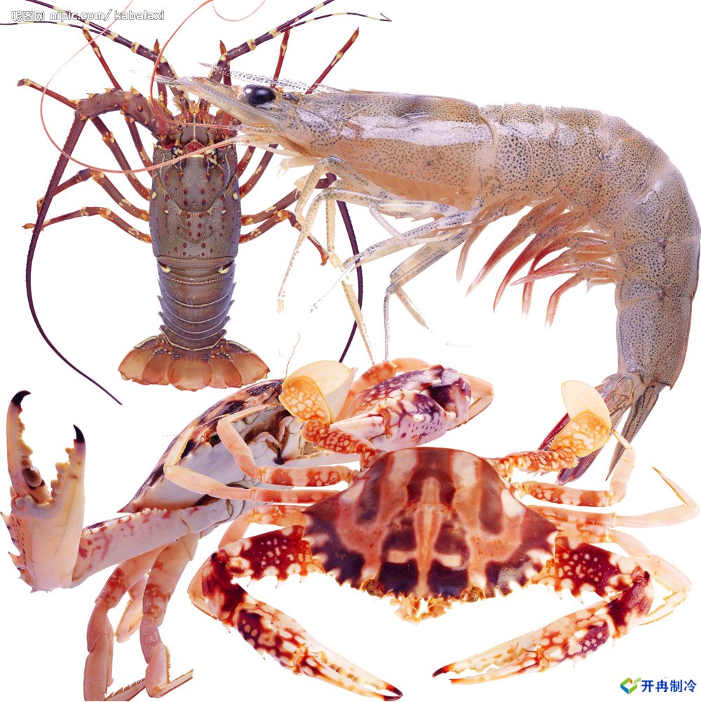 500平米海鮮冷庫建造，-25℃冷凍庫造價多少錢