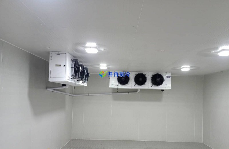 三甲醫院冷庫，體外診斷試劑冷庫